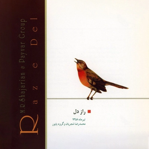 راز دل از محمدرضا شجریان راز دل از محمدرضا شجریان