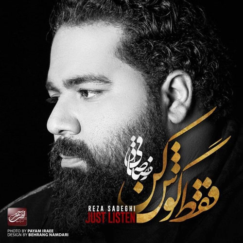 رضا صادقی رنگ صدام