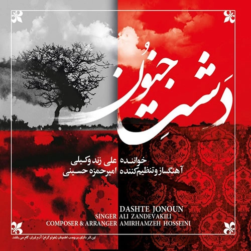 آلبوم جدید علی زند وکیلی به نام دشت جنون