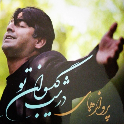 آلبوم جدید پرواز همای به نام در شب گیسوان تو