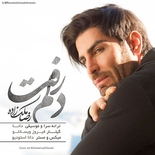 دلم رفت از رضا ملک زاده دلم رفت از رضا ملک زاده