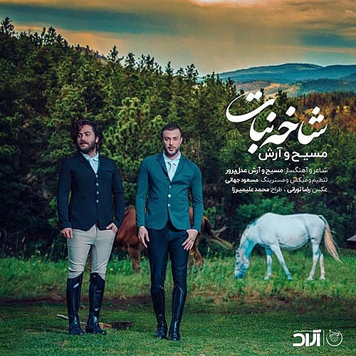 شاخه نبات از آرش ای پی و مسیح شاخه نبات از آرش ای پی و مسیح