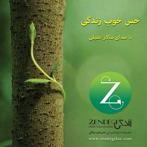حس خوبه زندگی از سالار عقیلی حس خوبه زندگی از سالار عقیلی