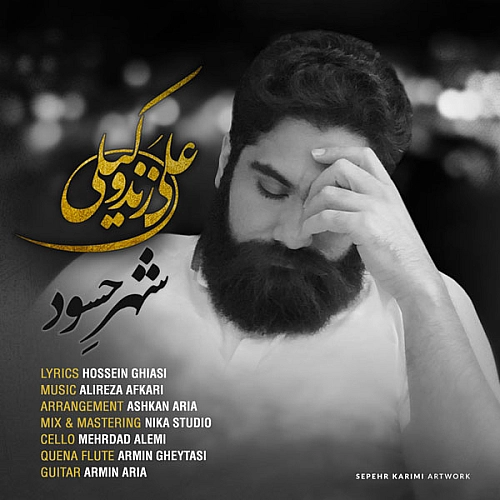 شهر حسود از علی زند وکیلی شهر حسود از علی زند وکیلی