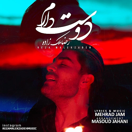 دوست دارم از رضا ملک زاده دوست دارم از رضا ملک زاده