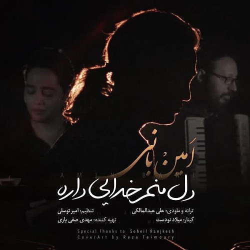 دل منم خدایی داره از امین بانی
