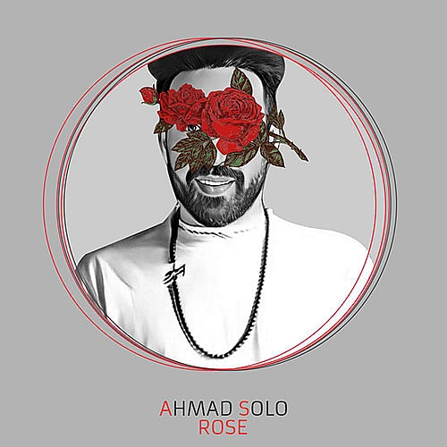 رز از احمد سلو رز از احمد سلو