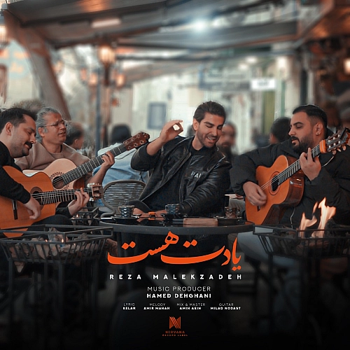 یادت هست از رضا ملک زاده