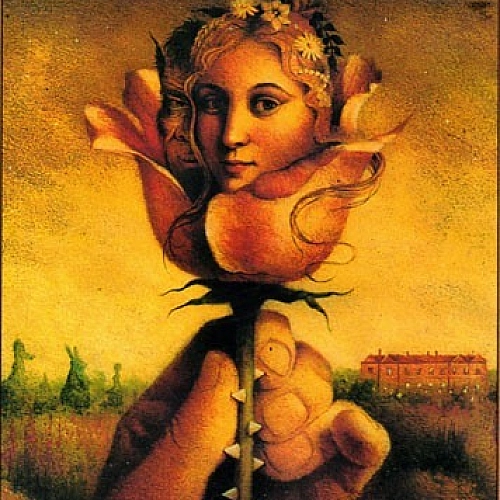 کفتر چاهی از محسن چاوشی