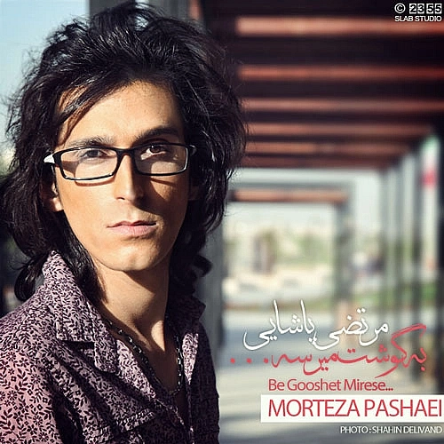 به گوشت میرسه از مرتضی پاشایی به گوشت میرسه از مرتضی پاشایی