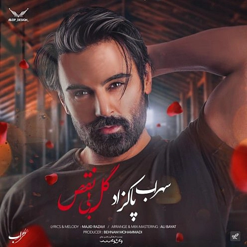 گل بی نقص از سهراب پاکزاد گل بی نقص از سهراب پاکزاد