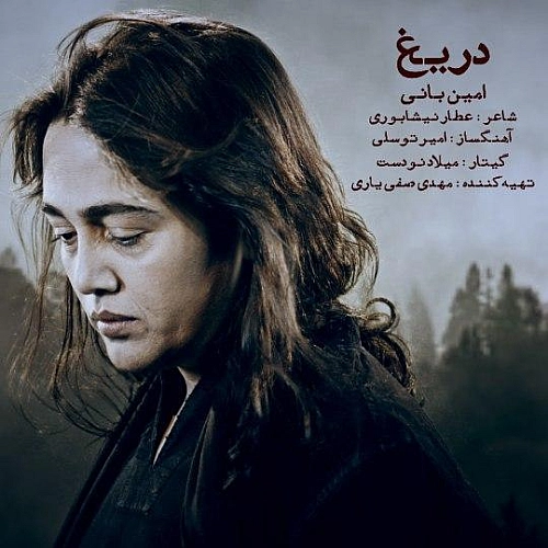 دریغ از امین بانی دریغ از امین بانی
