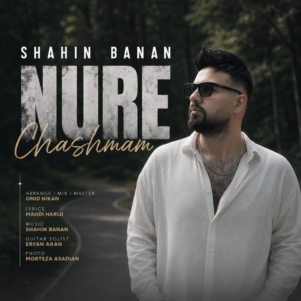 نور چشمم از شاهین بنان نور چشمم از شاهین بنان